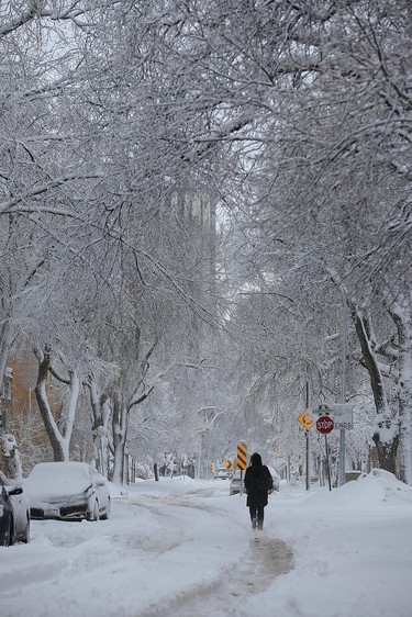 A pedestrian walks down Nassau Street North in Winnipeg on Mon., March 5, 2018. Kevin King/Winnipeg Sun/Postmedia Network