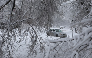 A car turns before a downed tree branch on Guelph Street in Winnipeg on Mon., March 5, 2018. Kevin King/Winnipeg Sun/Postmedia Network