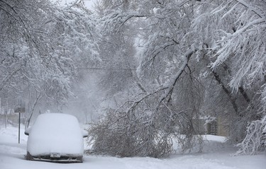 A downed tree branch blocks the road on Guelph Street in Winnipeg on Mon., March 5, 2018. Kevin King/Winnipeg Sun/Postmedia Network