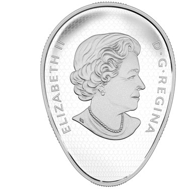 The new coin from the Royal Canadian Mint depicts Stefan Michalak after a close encounter in 1967 at Falcon Lake. (Royal Canadian Mint)