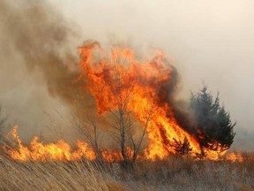 Large grass fire burning on Dugald Road East, in a largely industrial area east of Lagimodiere Boulevard on Sunday.