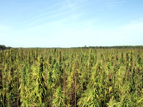 Manitoba Harvest produces hemp products and is Canada's first carbon neutral food manufacturer.