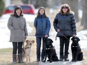 (Left to right) Christine Ross, Janet Hunt and Kim Bannatyne with their guide dogs.