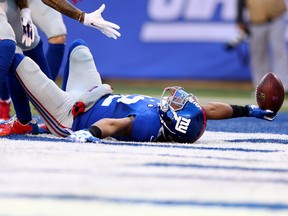 EAST RUTHERFORD, NJ - JANUARY 03:  Rueben Randle #82 of the New York Giants celebrates after scoring a 45 yard touchdown in the third quarter to take the lead in their game against the Philadelphia Eagles at MetLife Stadium on January 3, 2016 in East Rutherford, New Jersey.  (Photo by Elsa/Getty Images)