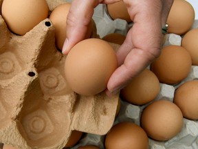 Eggsfrom a pallet are packed into a cardboard box. 
Holger Hollemann/AFP PHOTO