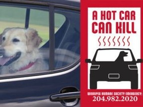 A Hot Car Can Kill car window decals are available for a donation at the Winnipeg Humane Society, River City Ford, Petland and participating Pet Valu locations.