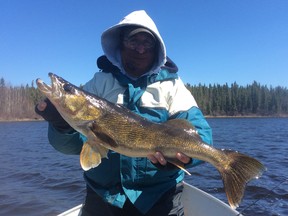 Angler shows off his prize trophy walleye.