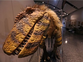 The Manitoba Museum hosted World’s Giant Dinosaurs, the first blockbuster exhibition in the newly expanded Alloway Hall. The exhibit of enormous ancient creatures (up to 66 feet in length and 22 feet high) delighted audiences and exceeded attendance targets helping the Museum top $1 million in admission revenue for only the second time in its history.