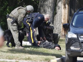 The RCMP emergency response unit arrests an alleged suspect in Neepawa, Man., on Thursday, August 30, 2018, following the shooting of a RCMP officer in Onanole, Man. THE CANADIAN PRESS/John Woods