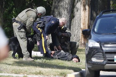The RCMP emergency response unit arrests an alleged suspect in Neepawa, Man., on Thursday, August 30, 2018, following the shooting of a RCMP officer in Onanole, Man. THE CANADIAN PRESS/John Woods