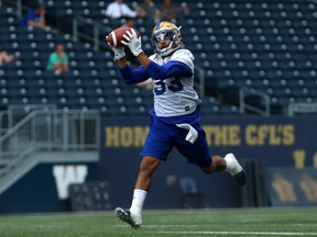 Andrew Harris pulls in a pass during Winnipeg Blue Bombers practice on Tues., Aug. 7, 2018. Kevin King/Winnipeg Sun/Postmedia Network