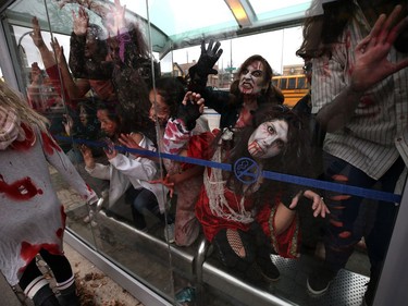 Zombies overrun a bus shack in the Osborne Village area of Winnipeg following a flash mob performance on Sun., Oct. 28, 2018. Kevin King/Winnipeg Sun/Postmedia Network