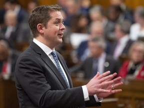 Leader of the Opposition Andrew Scheer rises during Question Period in the House of Commons Wednesday, November 28, 2018 in Ottawa.