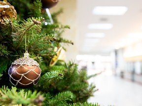Christmas tree. (Getty Images)
