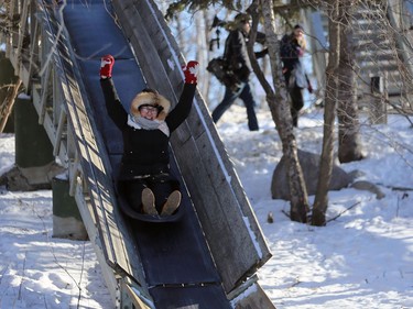 A woman raises her arms on the toboggan slide during Winterfest at Fort Whyte Alive in Winnipeg on Sun., Jan. 20, 2019. Kevin King/Winnipeg Sun/Postmedia Network