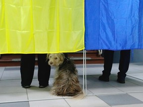A dog looks as Ukrainians mark their ballots in voting booths decorated in the Ukrainian national flag colours at a polling station in Kiev during local election in Ukraine, Sunday, Oct. 25, 2015. Polling stations opened in Ukraine on Sunday for regional and local elections across the country, except for the separatist-held regions in the east.
SERGEI CHUZAVKOV / AP