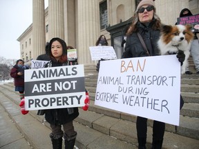 Christina Thiessen (right) and her pet dog Papillon joins fellow protesters on the steps of the Manitoba Legislative Building on Saturday.
