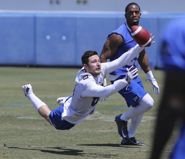 Winnipeg Blue Bombers  wide receiver Drew Morgan (81) is defended by defensive back Marcus Rios (25) during a team mini- camp at IMG Academy in Bradenton Florida on Wednesday, April 24, 2019.

Photo by Tom O'Neill