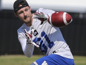 Winnipeg Blue Bombers wide receiver Drew Morgan (81) catches a pass during a team mini-camp at IMG Academy in Bradenton Florida on Wednesday, April 24, 2019.

Photo by Tom O'Neill