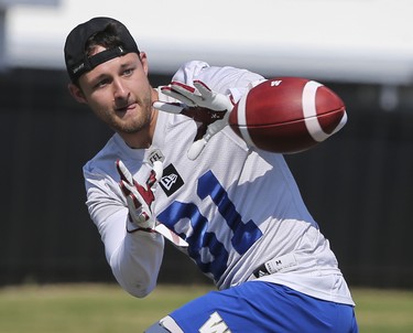 Winnipeg Blue Bombers wide receiver Drew Morgan (81) catches a pass during a team mini-camp at IMG Academy in Bradenton Florida on Wednesday, April 24, 2019.

Photo by Tom O'Neill
