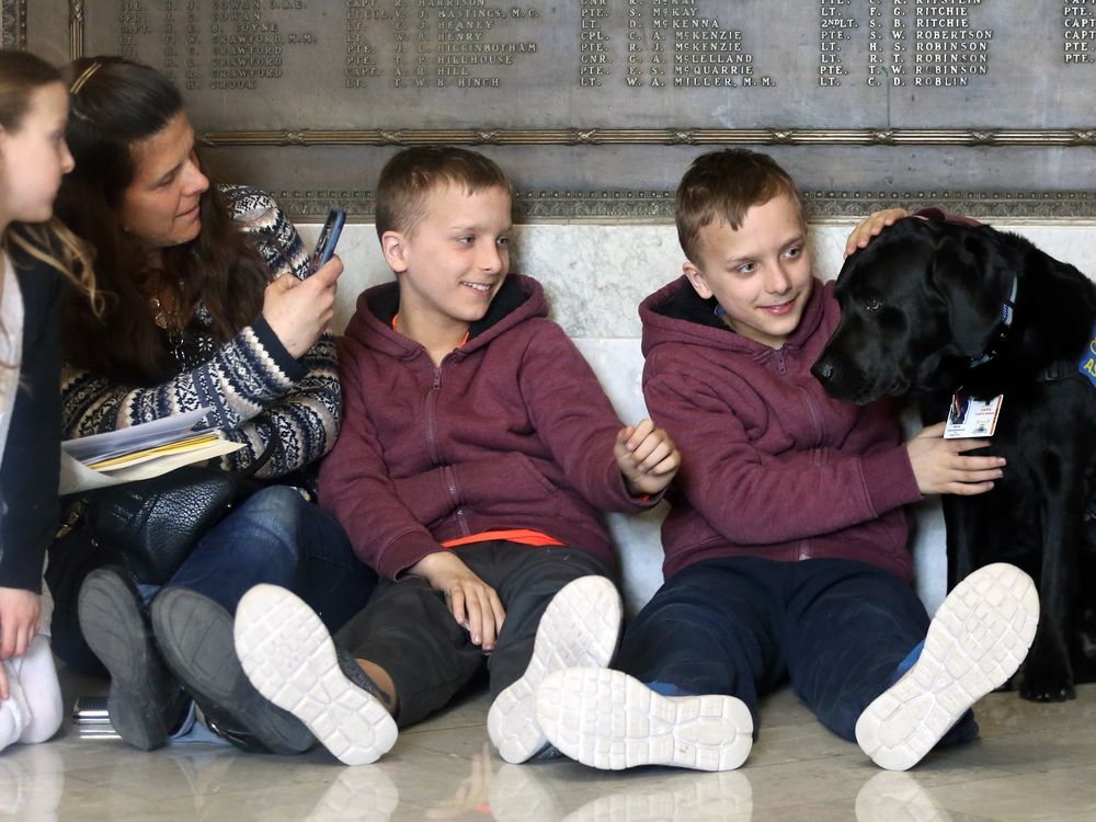 LAW DAY Victim services intervention dog helps children deal with
