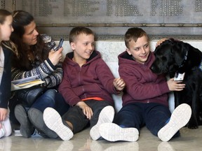 Twin brothers Ethan (right) and Julian Marion-Gerula, 11, along with mother Brenda and sister Abigail, 7, meet with Milan, an accredited facility dog, during the Law Day Open House at the Law Courts Complex on York Avenue in Winnipeg on Sunday.