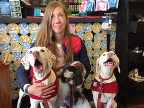 Elizabeth Spence shows off (left to right) Remi, Dot and Nora at a Pet Valu in Winnipeg for an adoption event on Saturday. With more than 124,000 Instagram followers, Winnipeg’s rescue pet family @Wellettas is a social media sensation.