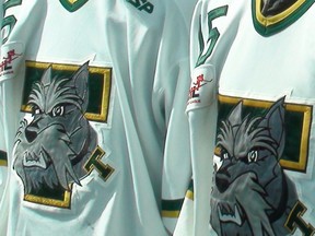 The Portage Terriers.