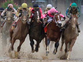 Country House #20, ridden by jockey Flavien Prat, War of Will #1, ridden by jockey Tyler Gaffalione , Maximum Security #7, ridden by jockey Luis Saez and Code of Honor #13, ridden by jockey John Velazquez fight for position in the final turn during the 145th running of the Kentucky Derby at Churchill Downs on May 4, 2019 in Louisville, Ky.