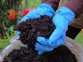 The city is giving away compost from June 1-7.
