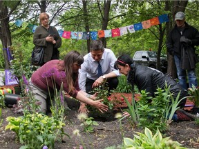 (Left to right) Nicole Last, Winnipeg Mayor Brian Bowman, and Arlene Last-Kolb plant the first memorial flower in Memory Garden in Winnipeg on Tuesday. The garden was dedicated as a place for people to gather, remember, and honour loved ones that have died from drug addictions and overdoses.