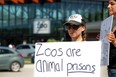Animal rights activist Cheryl Sobie protests the Assiniboine Park Zoo Stingray Beach exhibit in Winnipeg after three of the aquatic animals died in their enclosure recently. The protest took place at the zoo on Sunday, June 30, 2019.