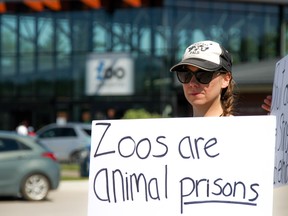 Animal rights activist Cheryl Sobie protests the Assiniboine Park Zoo Stingray Beach exhibit in Winnipeg after three of the aquatic animals died in their enclosure recently. The protest took place at the zoo on Sunday, June 30, 2019.