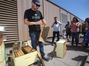 Beeproject Apiaries presented a meet the bees event at Red River College in Winnipeg recently, rooftop hives were shown to attendees. Chris Kirouac shows a rooftop hive to people at Red River College.