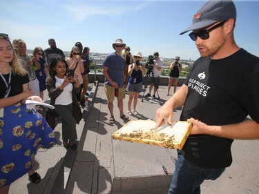 Beeproject Apiaries presented a meet the bees event at Red River College in Winnipeg recently, rooftop hives were shown to attendees. Chris Kirouac shows a rooftop hive to people at Red River College.
Thursday, July 25/2019 Winnipeg Sun/Chris Procaylo/stf