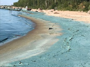 Algae is spotted along the shore of Connaught Beach in the Rural Municipality of Victoria Beach in Manitoba on Saturday, July 27, 2019. A notice on the RM's website states that high water consumption is straining the local treatment plant's ability to produce sufficient drinking water. That's happening just as Lake Winnipeg, the plant's raw water source, is seeing an algae bloom that is slowing down the treatment process.