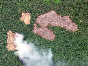 This handout picture collected by a satellite of © 2019 Planet Labs, Inc on August 20, 2019 of a wildfire in Ucayali, Peru, in the Amazon rainforest. - Brazilian President Jair Bolsonaro supported on August 28, 2019 Peru and Colombia's proposal of an emergency Amazon summit for countries in the region in order to coordinate a strategy to protect the vast rainforest currently blighted by numerous fires. (Photo by Handout / © 2019 Planet Labs, Inc / AFP) / RESTRICTED TO EDITORIAL USE - MANDATORY CREDIT "AFP PHOTO / © 2019 Planet Labs, Inc " - NO MARKETING - NO ADVERTISING CAMPAIGNS - DISTRIBUTED AS A SERVICE TO CLIENTSHANDOUT/AFP/Getty Images