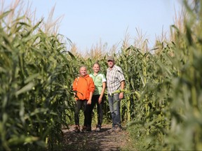 Deer Meadow Farms owner Vince Rattai (right) and employees Jordyn Spitual (left) and Nicole Wollman (middle) hang out in a 10 acre corn field as they celebrate this year's corn maze, which celebrates the farms' 10 year anniversary on Friday, Aug. 30, 2019. The 10 year anniversary celebration runs Sept. 6 to 8, 2019. Deer Meadow Farms is located at 21 155 Springfield Rd., northeast of Winnipeg, Man. (Brook Jones/Selkirk Journal/Postmedia Network)