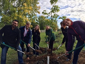 (Left to right) CN Superintendent Sanjay Bahl, Coun. Kevin Klein, MLA Sarah Guillemond, Tree Canada past chair and board member Dorothy Dobbie, Manitoba Legislative Assembly Speaker and MLA Myrna Driedger, and Friends of the Harte Trail President Barb Hutton take part in a ceremonial tree planting on the Harte Trail in Charleswood in Winnipeg on Saturday.