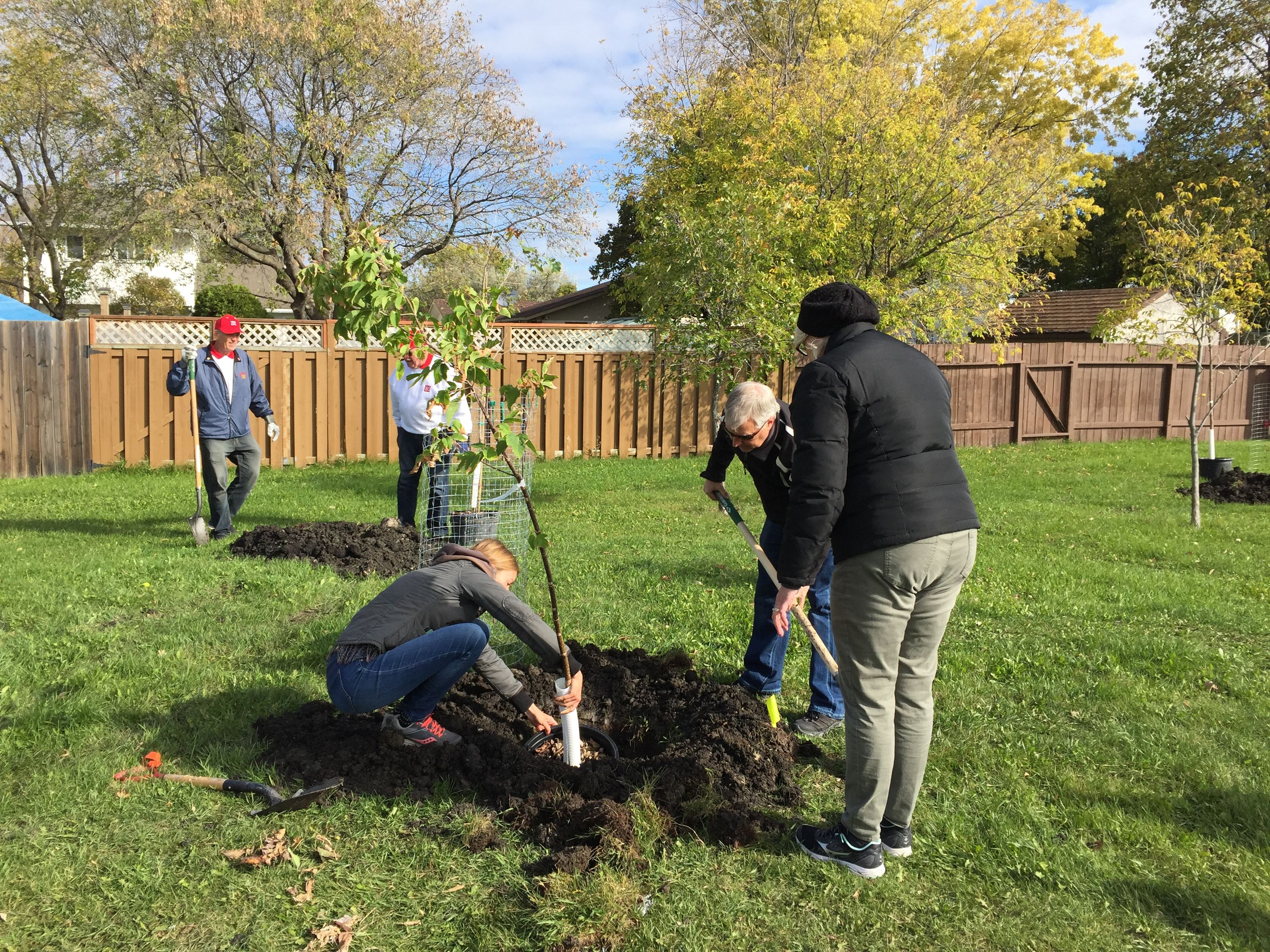 Trees Winnipeg announce plans to expand planting program Winnipeg Sun