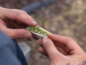 A marijuana joint is rolled during the 4/20 event on the Manitoba Legislative Building grounds in Winnipeg on Fri., April 20, 2018. Kevin King/Winnipeg Sun/Postmedia Network