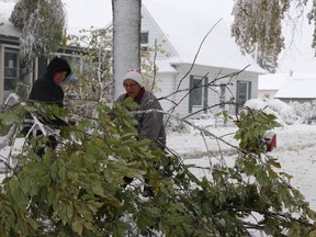 Gerry Dubuc (right) and Hazen Steeves (left) remove a tree that fell in the middle of the road in front of their properties on Crawford Avenue in Winnipeg during a snow storm on Friday.