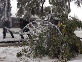Gerry Dubuc (left) and Hazen Steeves (right) remove a tree that fell in the middle of the road in front of their properties on Crawford Avenue in Winnipeg during a snow storm on Friday, Oct. 11, 2019. Josh Aldrich/Winnipeg Sun/Postmedia