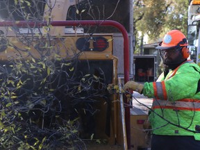 A city crew works to clear damage on Thursday from last week's record-breaking storm that damaged 30,000 trees in Winnipeg and left thousands without power.