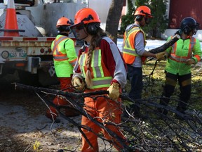 A city crew works to clear damage on Thursday, Oct. 17, 2019 from last week's record-breaking storm that damaged 30,000 trees in Winnipeg and left thousands without power. The cleanup is expected to take a full year while it is estimated to take five years to replant all the damaged trees plus trees that were already scheduled to be replaced due to diseases and invasive species. Josh Aldrich/Winnipeg Sun