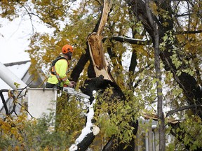 Crews cleanup after a snow storm which hit parts of Manitoba Thursday and Friday in Winnipeg on Sunday, October 13, 2019.