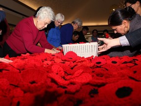 Poppy dress in Manitoba pays tribute to veterans