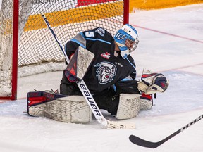 Ice goaltender Dean McNabb earned his first shutout of the season on Saturday night. (WINNIPEG ICE PHOTO)