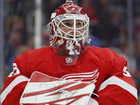 Detroit Red Wings goaltender Jonathan Bernier. (RAJ MEHTA/USA TODAY Sports)