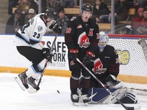 Neither the Manitoba Moose nor the Winnipeg Ice will play for the foreseeable future due to the coronavirus.  James Carey Lauder photo